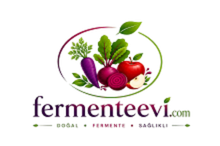 Fermente Evi